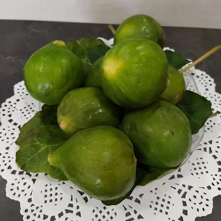 Incanto Salento Nocleg ze śniadaniem